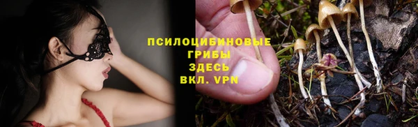 стафф Балахна