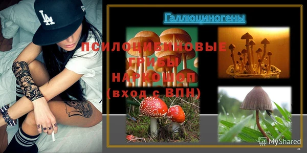 гашик Баксан