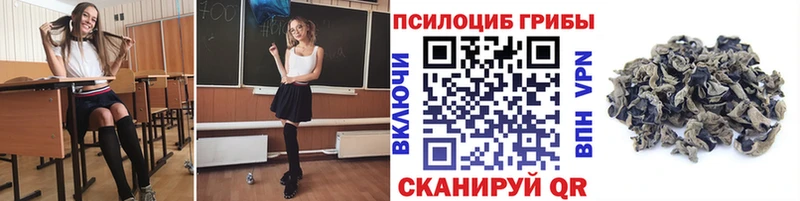 продажа наркотиков  Новый Оскол  Псилоцибиновые грибы мухоморы 